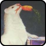 A print of Ferret Cake, by Kelly Lyles.