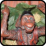 Monkey Shelf Monkey Shelf
