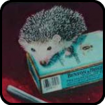 A print of Benson and Hedgehog for bARTer Sauce, by Kelly Lyles. A print of Benson and Hedgehog for bARTer Sauce, by Kelly Lyles.