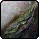 Painting of orchard in Wenatchee