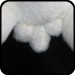 Dong Bunny