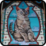 Kelly Lyles - Catolic 