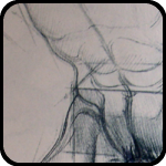 Figure Drawing Book