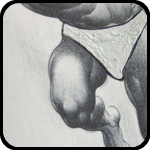 Figure Drawing Book