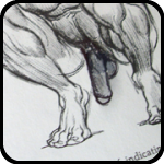Figure Drawing Book