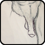 Figure Drawing Book