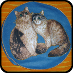 Cat Pillow Cover Cat Pillow Cover